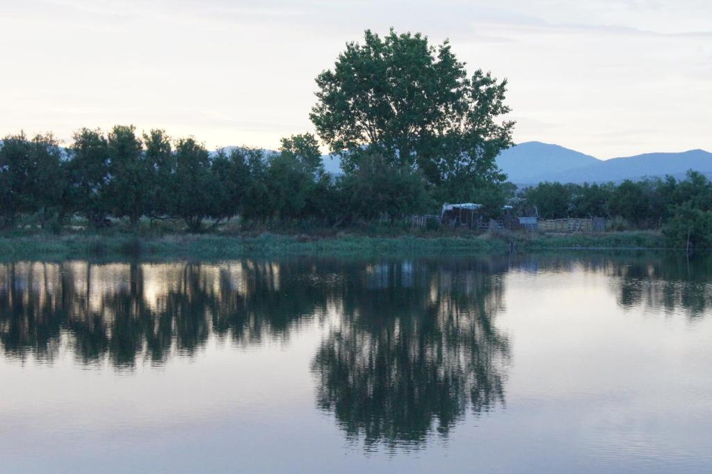 Residenziale Gli Ontani 4*